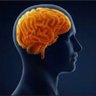 God gave you a brain. Use it. profil fotoğrafı