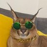 Biggie floppa profil fotoğrafı