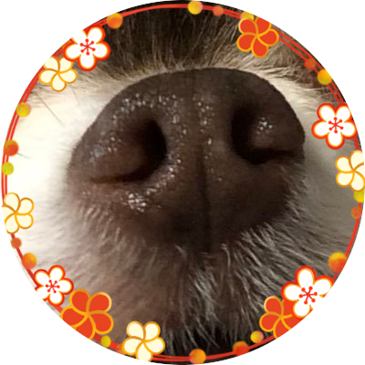 alohalohaloha50's profile picture