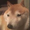 ハデキン@守備力1735🀄🌋🐉ダイエット頑張り中 profil fotoğrafı