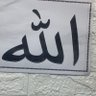 shaidabarzinge's profile picture