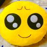 🦩のこぴ(え)🦩's profile picture