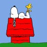 effie 🌻🇺🇦 的头像