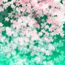 みゆ's profile picture