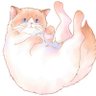 Profilbild von RAG.D.OLL