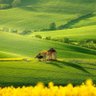 عمار profil fotoğrafı