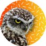 Ashish Thakur's profile picture