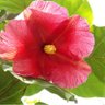 Фото профиля Yaznaz Padron