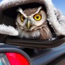 Sinister Heretic's profile picture