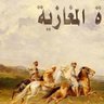 elmogazy ahmed 的头像