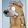 Фото профиля Postaldog
