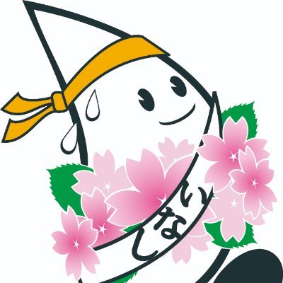 inaekiden's profile picture