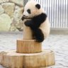 彩浜を命名 profil fotoğrafı
