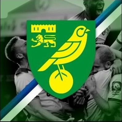 🇦🇷 Norwich_Arg's profile picture