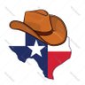 TX_Stetson 的头像