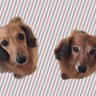 3R𓂃𓂂ꕤ*♡RAURENRI♡。*・Rika・*。 profil fotoğrafı