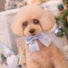 かっちゃん's profile picture