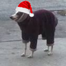 Lemin's profile picture