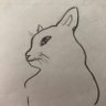 Profilbild von ぽんこな