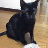 Фото профиля pedia
