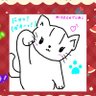 れいらのひざぬこ🐇💎 的头像