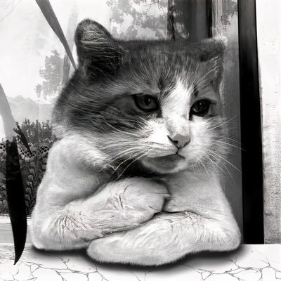 猫組長's profile picture