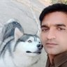 Vijay yadav profil fotoğrafı