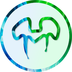 epicmickeywiki's profile picture