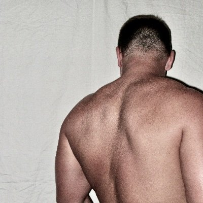 breedandgo's profile picture