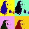 Lynne's profile picture