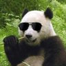 Profilbild von Big Magic