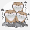 Profilbild von るいぬんわん🐶🐺⏳🍞フォロバするかもしれない