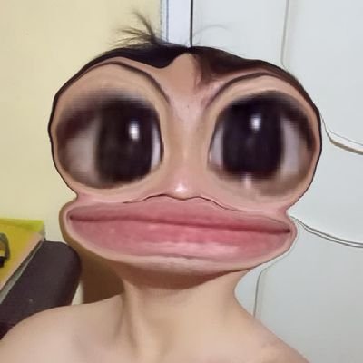 califlowerr11's profile picture