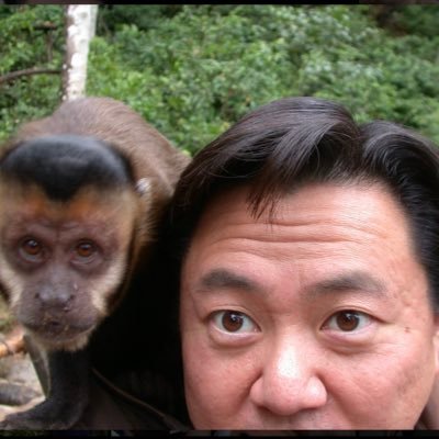 Sanho Tree's profile picture