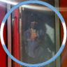 scornis's profile picture