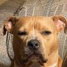 Profilbild von David