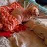 Conchi Cuervo profil fotoğrafı