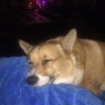 Ljaok's profile picture