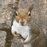 Egg Box's profile picture