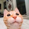 Profilbild von izmirli@