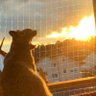 i’m soft power engineer (FIRE at 45) profil fotoğrafı