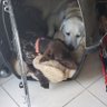 Profilbild von Bogey 65