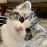 BABY GG. 的头像