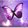 🦋💜😼🏳️🌈🏳️⚧️⚧️Pat'sChild⚧️🏳️⚧️🏳️🌈😼💜🦋 profil fotoğrafı