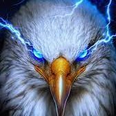 raging545's profile picture