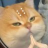 Profilbild von 老俑