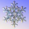 Ice Crystal ❄️'s profile picture