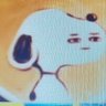 CROW's profile picture