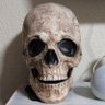 Maestro Calavera ๐'s profile picture