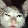 ale's profile picture